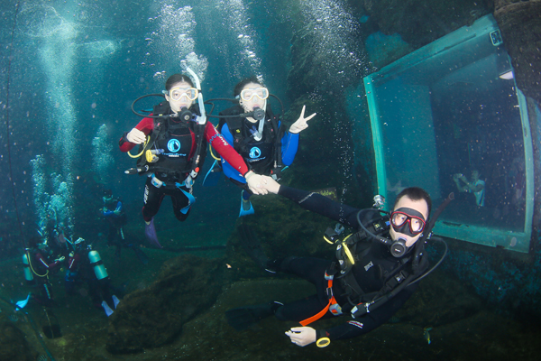 12/12正式上線！PADI 最新課程【休閑潛水員Resort Diver】 丨 一天拿證，潛遍全球