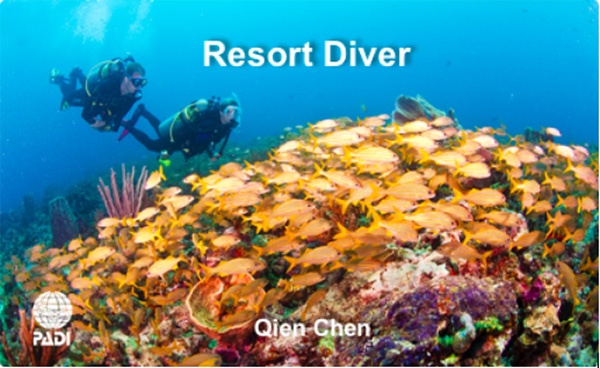 12/12正式上線！PADI 最新課程【休閑潛水員Resort Diver】 丨 一天拿證，潛遍全球