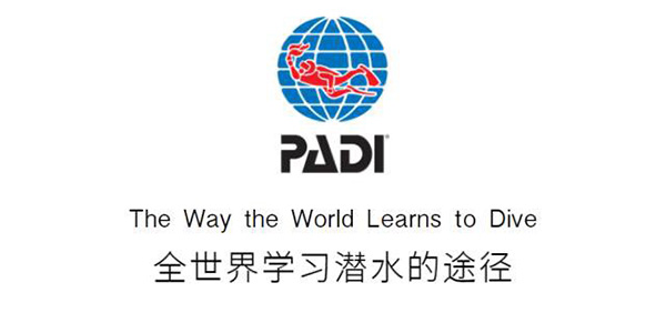 12/12正式上線！PADI 最新課程【休閑潛水員Resort Diver】 丨 一天拿證，潛遍全球
