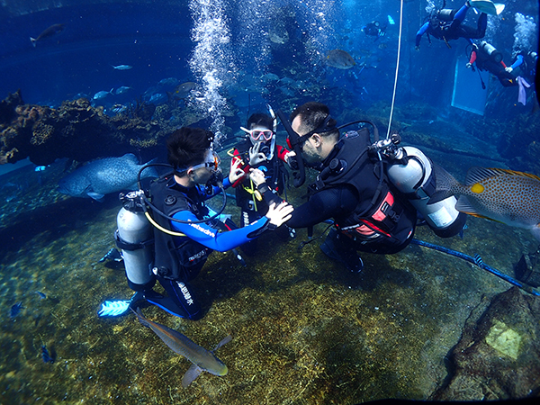 12/12正式上線！PADI 最新課程【休閑潛水員Resort Diver】 丨 一天拿證，潛遍全球